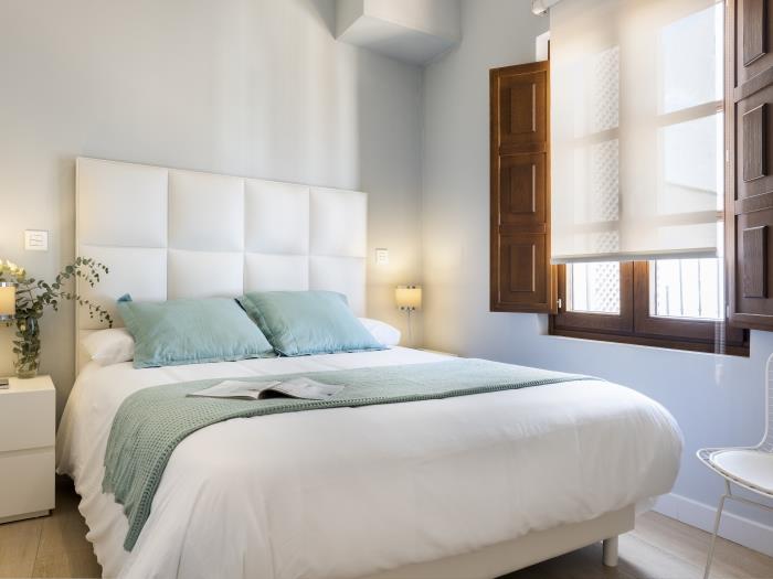Palacio Buenavista Luxury Apartment 2.3 - Imagen 3